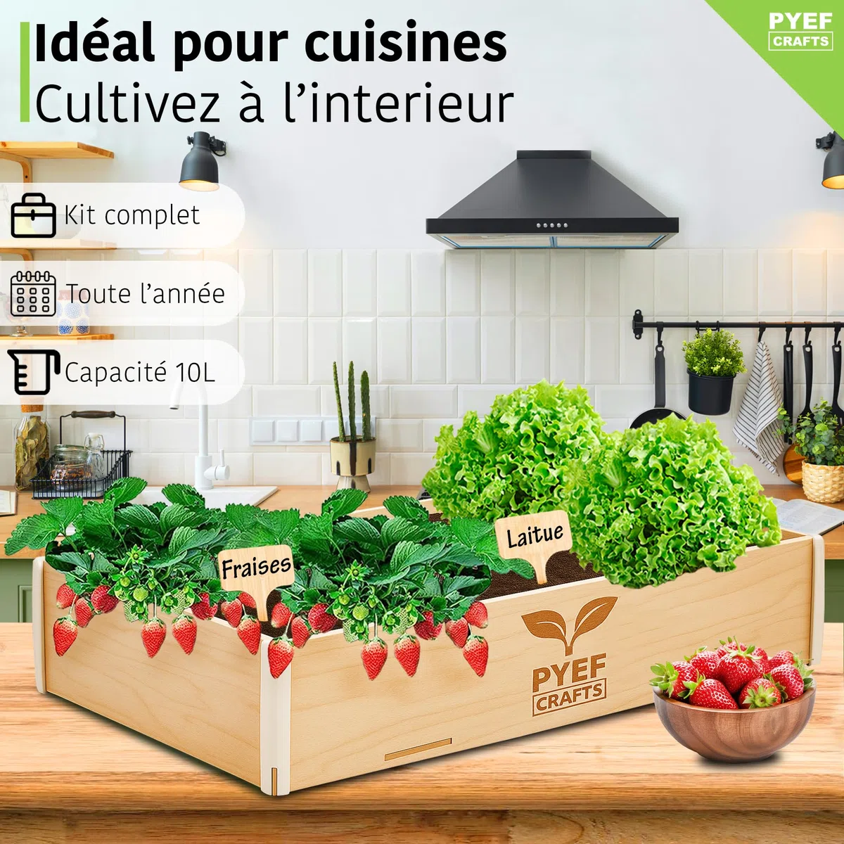 Kit Jardinage Potager Interieur XL Kit Indoor Prêt à Pousser - DIY Potager D'interieur pour Plante a Faire Pousser - Plantation Plantes D'intérieur