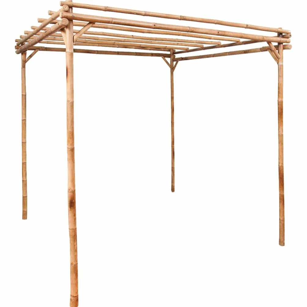 vidaXL Pergola Support pour Plantes Grimpantes Rosiers Patio Extérieur Arrière-Cour Robuste Durable Résistant Bambou 170x170x220 cm
