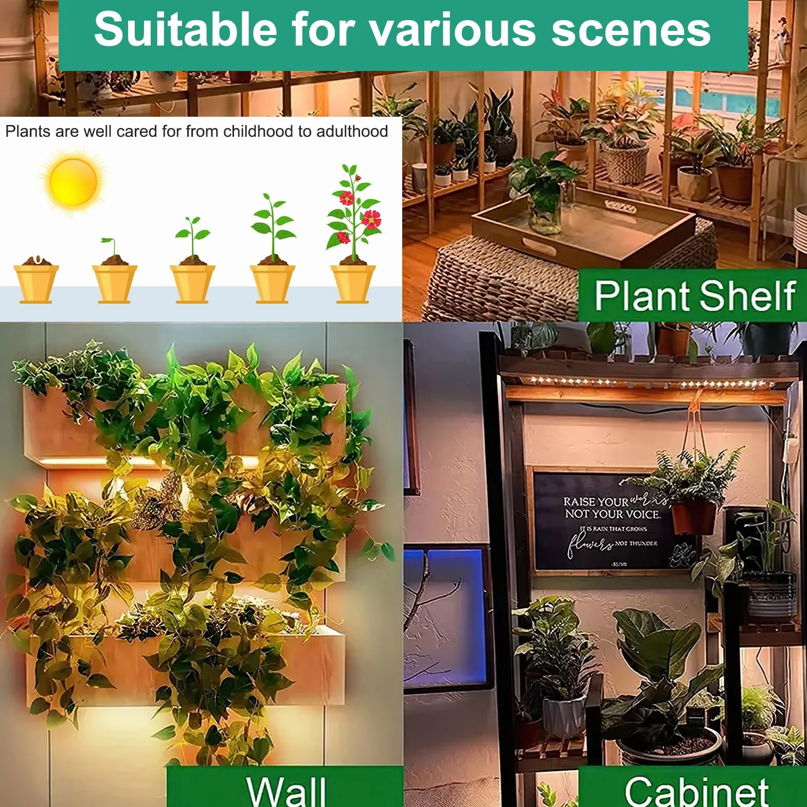 Lampe LED à spectre complet 270 LED pour plantes d'intérieur avec minuterie, 10 types de luminosité