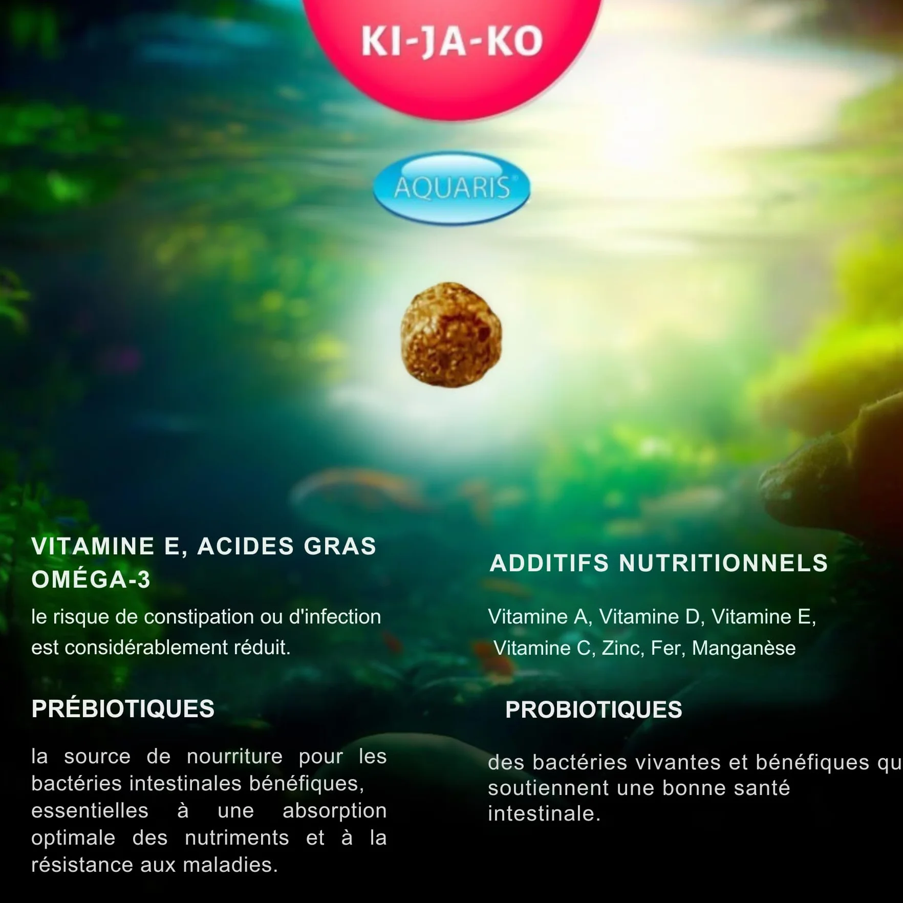 KI-JA-KO Staple Nourriture pour carpes koï 1 kg 6 mm Pellets flottants