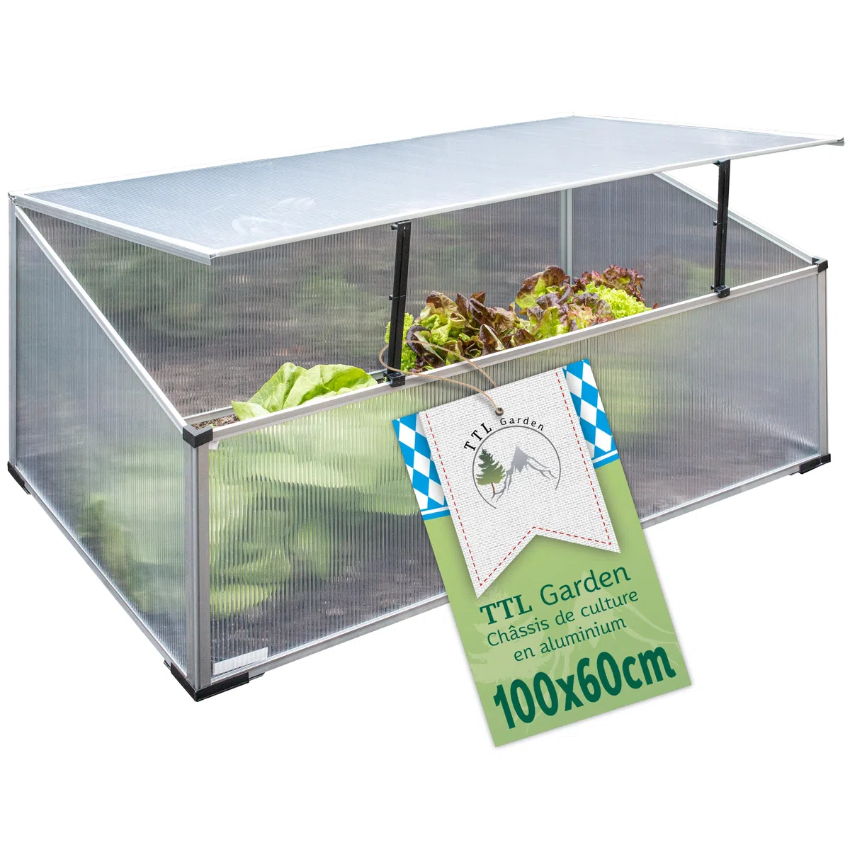 TTL Garden Jardinière en aluminium 40 x 100 x 60 cm – Serre pour plantes, plantation pour légumes, herbes et fleurs, culture et conditions de croissance optimales même en hiver