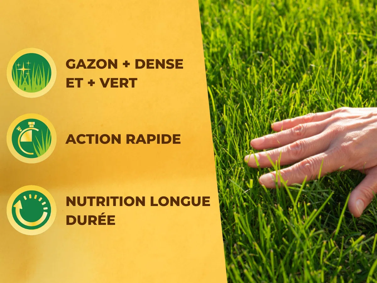 SOLABIOL Engrais Gazon Plus 15 kg Granulés Jusqu'à 375m² Nutrition Longue Durée