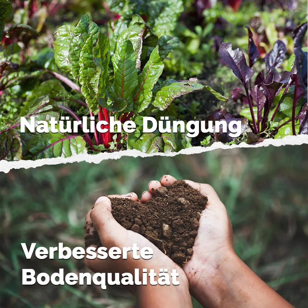 DIMIKRO Bokashi Ferment – Qualité biologique 2,0 kg dans un seau hermétique pratique – Aide à la fermentation pour seau Bokashi et compost – Élimine les odeurs, les moisissures et la pourriture