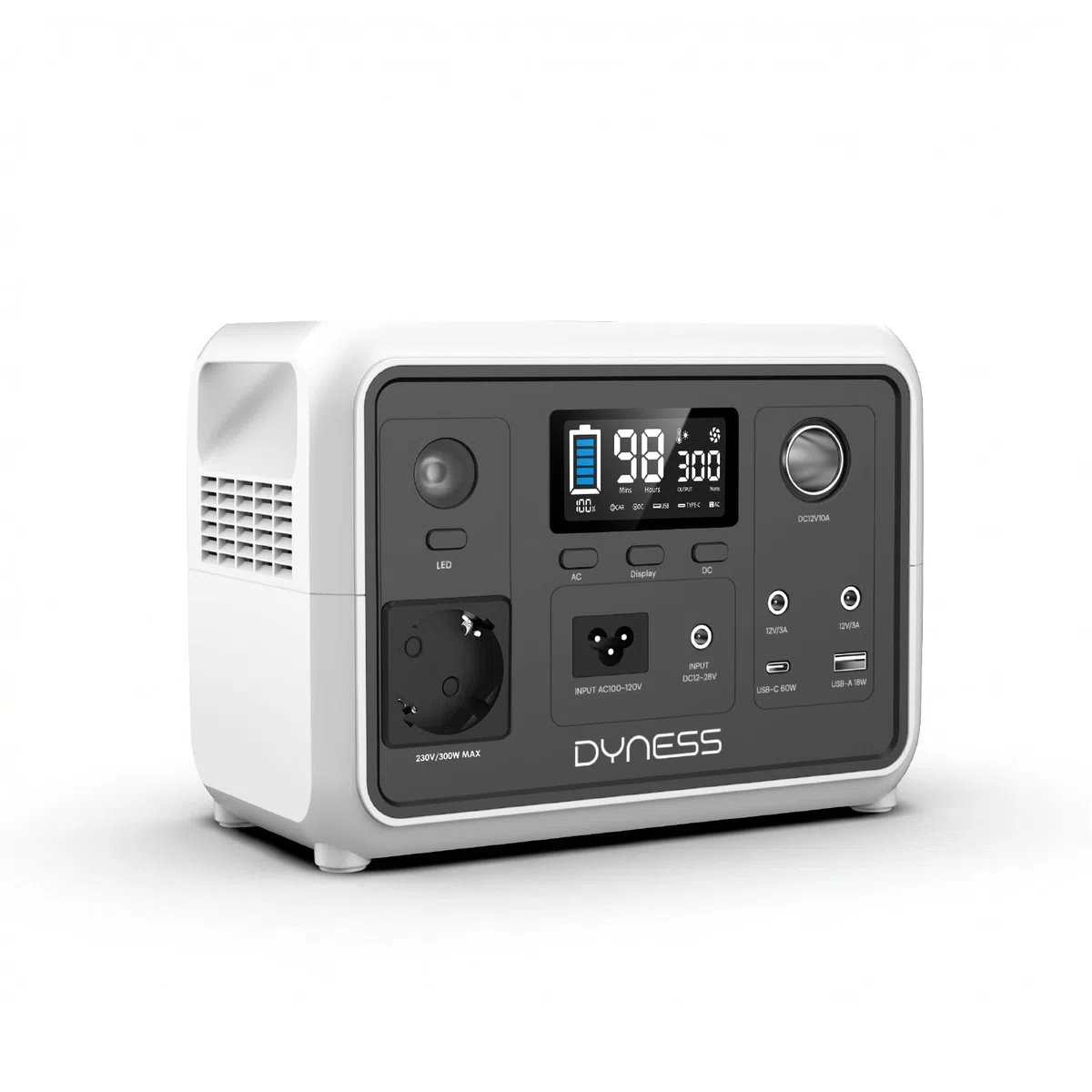Dyness 300W Generateur Electrique Portable, Batterie LiFePO4 256Wh Générateur Solaire avec 6 Sorties et 4 Options de Charge, Alimentation de Secours pour Camping, Camping-car, Voyages