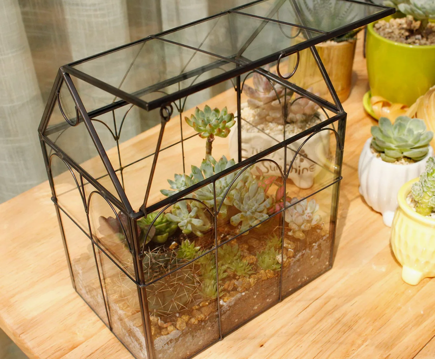 ElegantLife Terrarium en Forme de Maison Fait à la Main avec Couvercle pivotant sur Le Dessus pour fougère, Mousse, Cactus, Plantes aériennes (Plante Non Incluse)