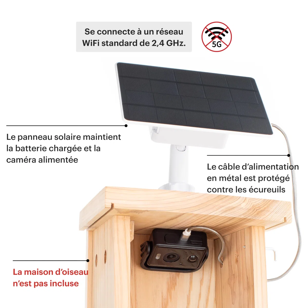 WHITEHORSE Caméra pour nichoirs à oiseaux - Sans fil et alimentée par énergie solaire -Regardez et enregistrez depuis votre téléphone (application gratuite) - Soyez averti lorsqu'un oiseau est détecté