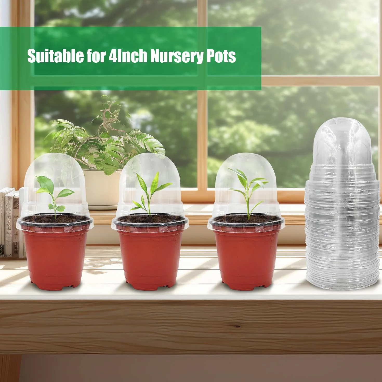 Lot de 50 dômes Transparents pour Pots de Fleurs 10,2 cm Jardinage intérieur extérieur