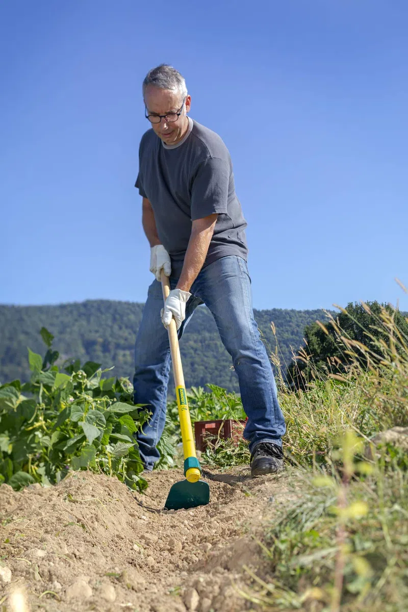 Leborgne, Houe Duopro Forgée 14 cm, Manche Bois Certifié PEFC 100%, Pratique avec Manche Percé pour Rangement Suspendu, Remplacement Facile grâce à la Douille Ronde Conique, Fabriqué en France