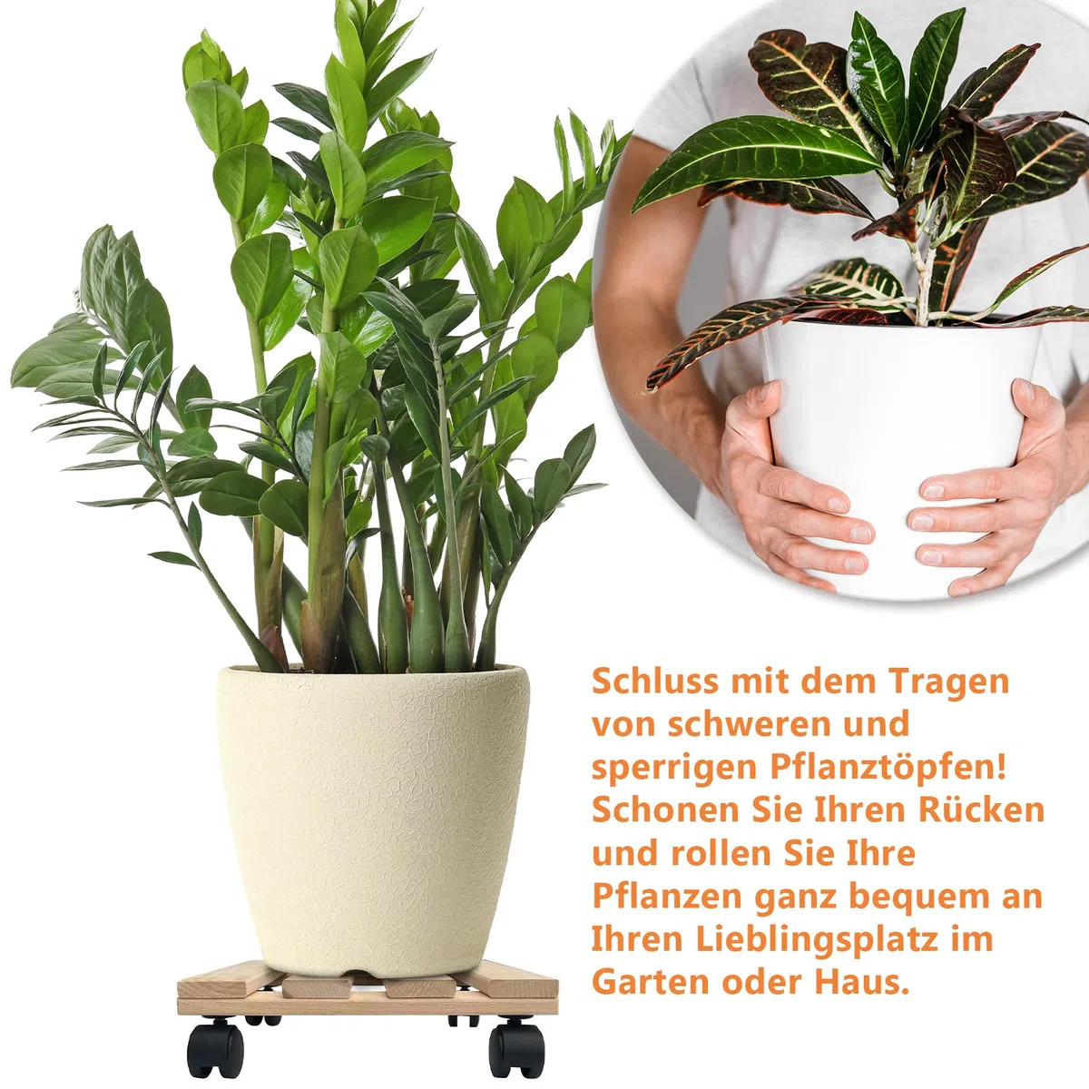 Unbekannt Lot de 5 roulettes pour plantes en bois massif en bois de hêtre solide carré 30 cm x 30 cm jusqu'à 120 kg
