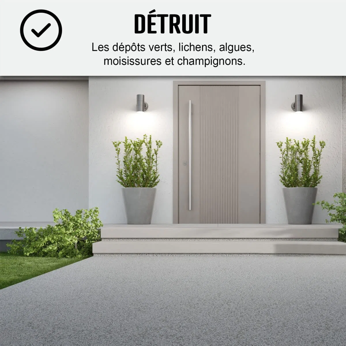 Anti-mousse ultra concentré : fongicide, anti dépôt vert toiture, mur, façade, terrasse, élimine, algues et lichens, 1 L (jusqu'à 250 m²) - ARCANE INDUSTRIES