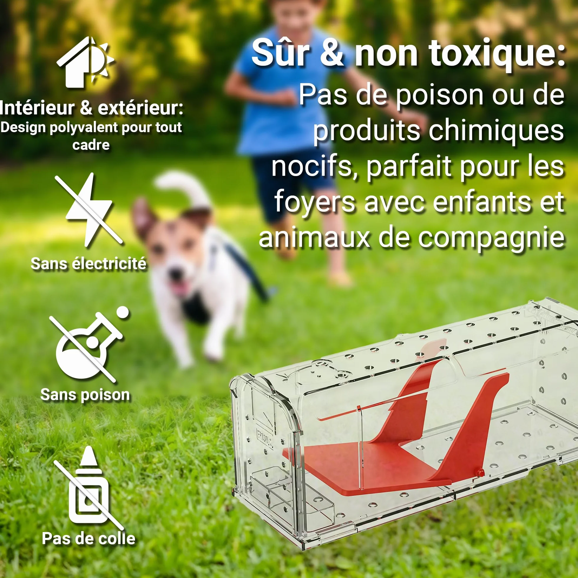 Roshield Piège à Souris sans cruauté pour Intérieur Extérieur Capture Vivante réutilisable Durable Rapide Efficace