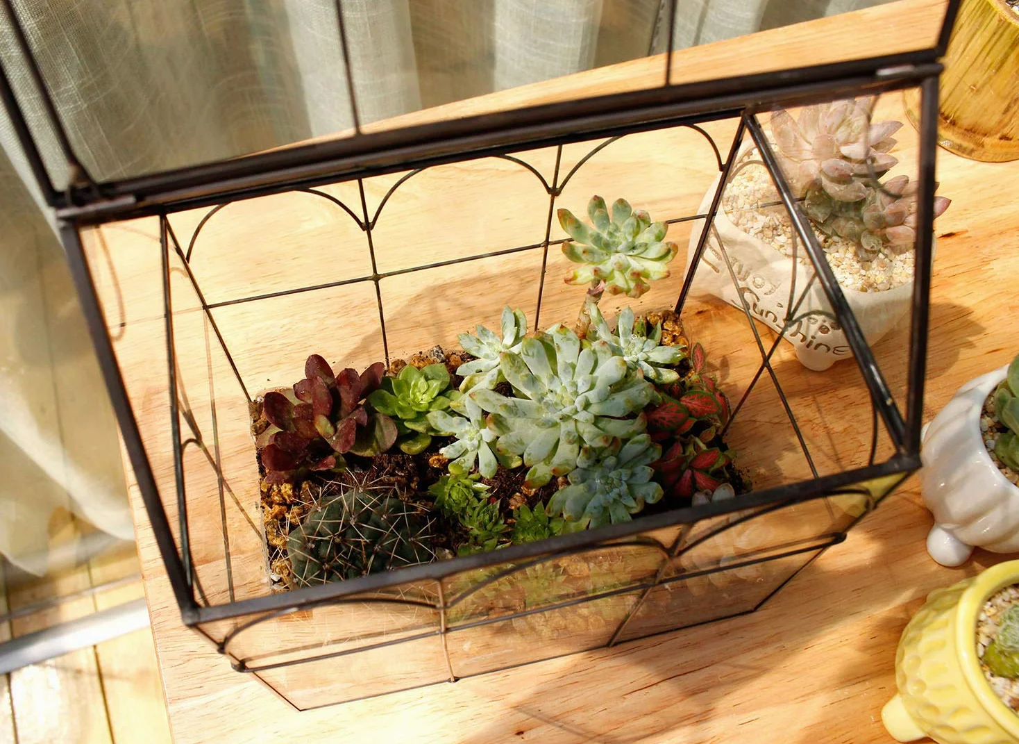 ElegantLife Terrarium en Forme de Maison Fait à la Main avec Couvercle pivotant sur Le Dessus pour fougère, Mousse, Cactus, Plantes aériennes (Plante Non Incluse)