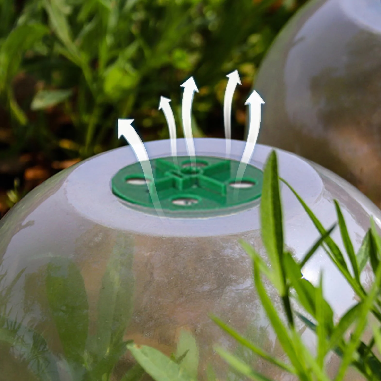 Cloches de Jardin en Plastique Lot de 10 - Dôme d'Humidité Protection Contre le Gel