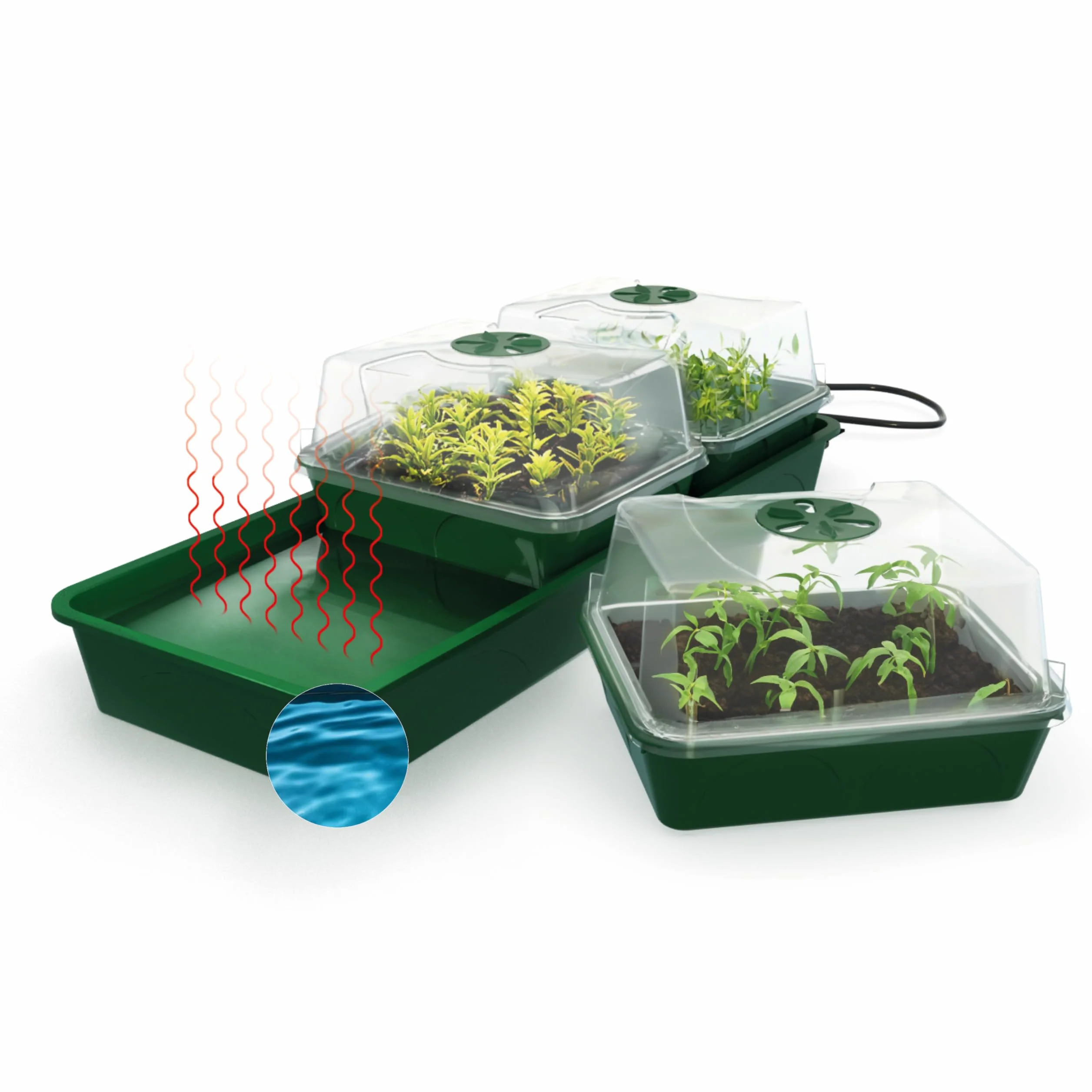 Bio Green HOL 3 Hollandia Serre D'intérieur Chauffée avec Réservoir d'eau