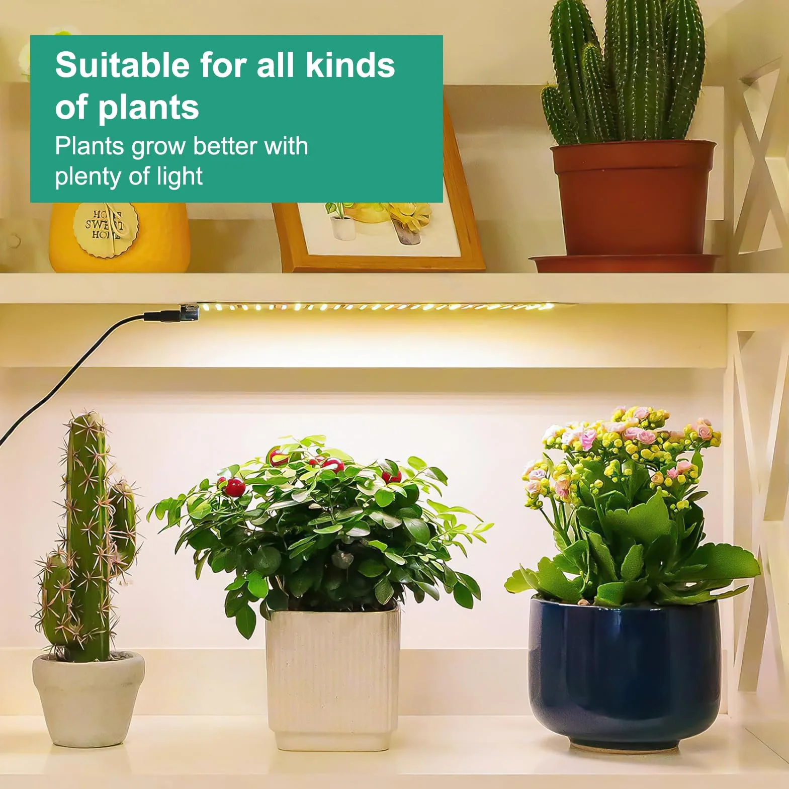 Lampe LED à spectre complet 270 LED pour plantes d'intérieur avec minuterie, 10 types de luminosité