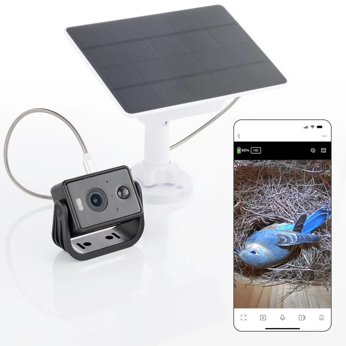 WHITEHORSE Caméra pour nichoirs à oiseaux - Sans fil et alimentée par énergie solaire -Regardez et enregistrez depuis votre téléphone (application gratuite) - Soyez averti lorsqu'un oiseau est détecté