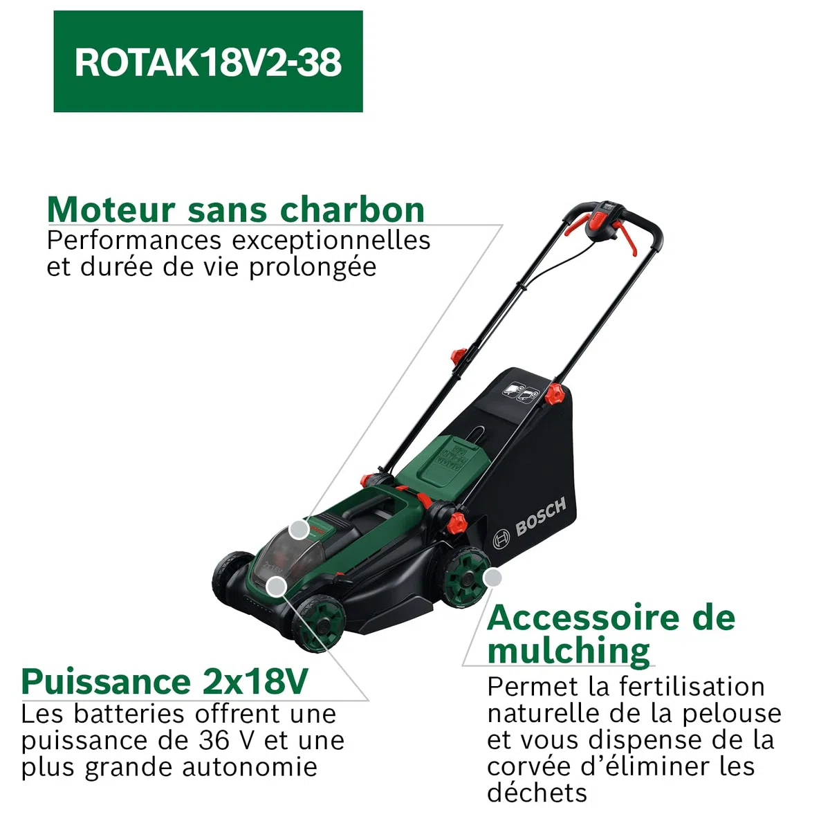 Bosch Tondeuse à Gazon sans-Fil ROTAK18V2-38 (Largeur de Coupe: 38 cm, Hauteur de Coupe: 30-75 mm, Sac de ramassage en Tissu de 40 l, Accessoire de Mulching, avec Deux Batteries 18V et Chargeur)