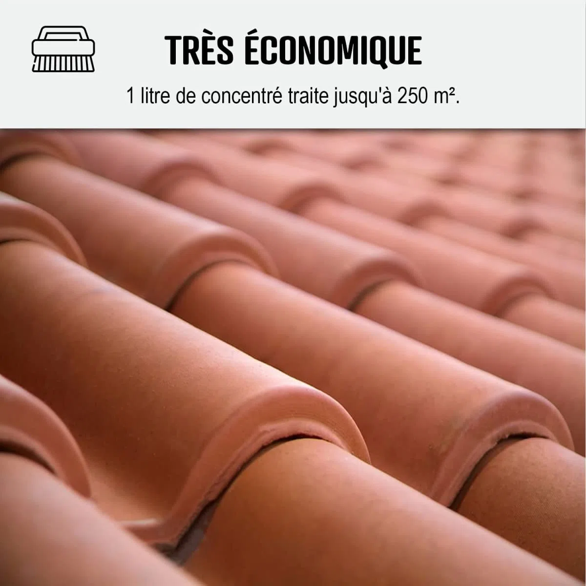 Anti-mousse ultra concentré : fongicide, anti dépôt vert toiture, mur, façade, terrasse, élimine, algues et lichens, 1 L (jusqu'à 250 m²) - ARCANE INDUSTRIES