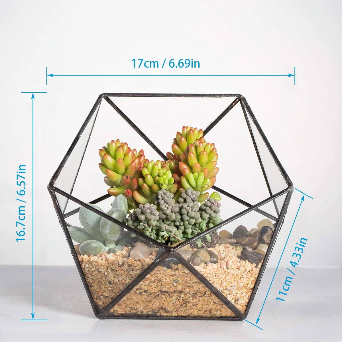 NCYP Géométrique Terrarium en Forme de Demi-sphère Triangulaire en Verre Fait à la Main, Pot de Fleurs pour bonsaï, Table Décoration pour Plantes Grasses (Pas de Plantes)