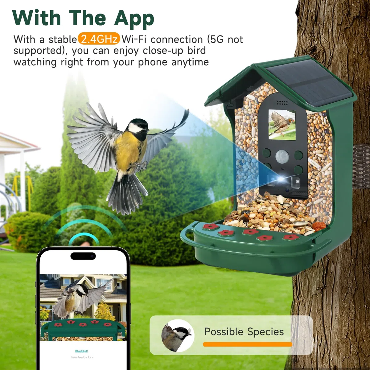 Mangeoire Oiseaux Camera, HD 1080P Intelligente Camera Nichoir avec Caméra et 5W Panneau Solaire, Nichoir Oiseaux Exterieur Caméra IP65 Etanche, Capture Automatique des Images, 32G Carte