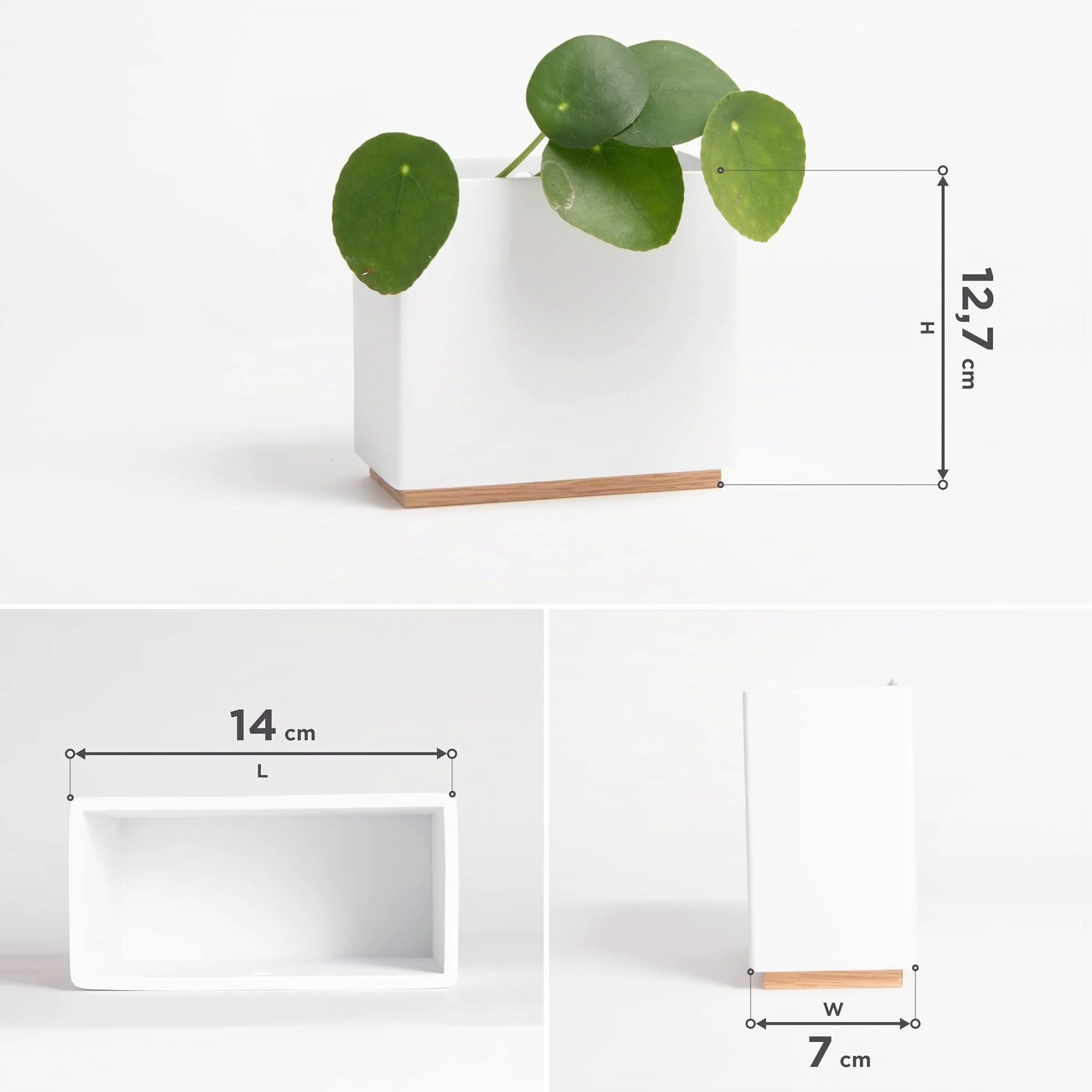 Kazai. Jardinières Murales -Alma- | 3 Pots de Fleurs Suspendus Modernes en Résine | Ensemble de Porte-Plantes pour Plantes d'intérieur, Plantes artificielles et Plus | Blanc