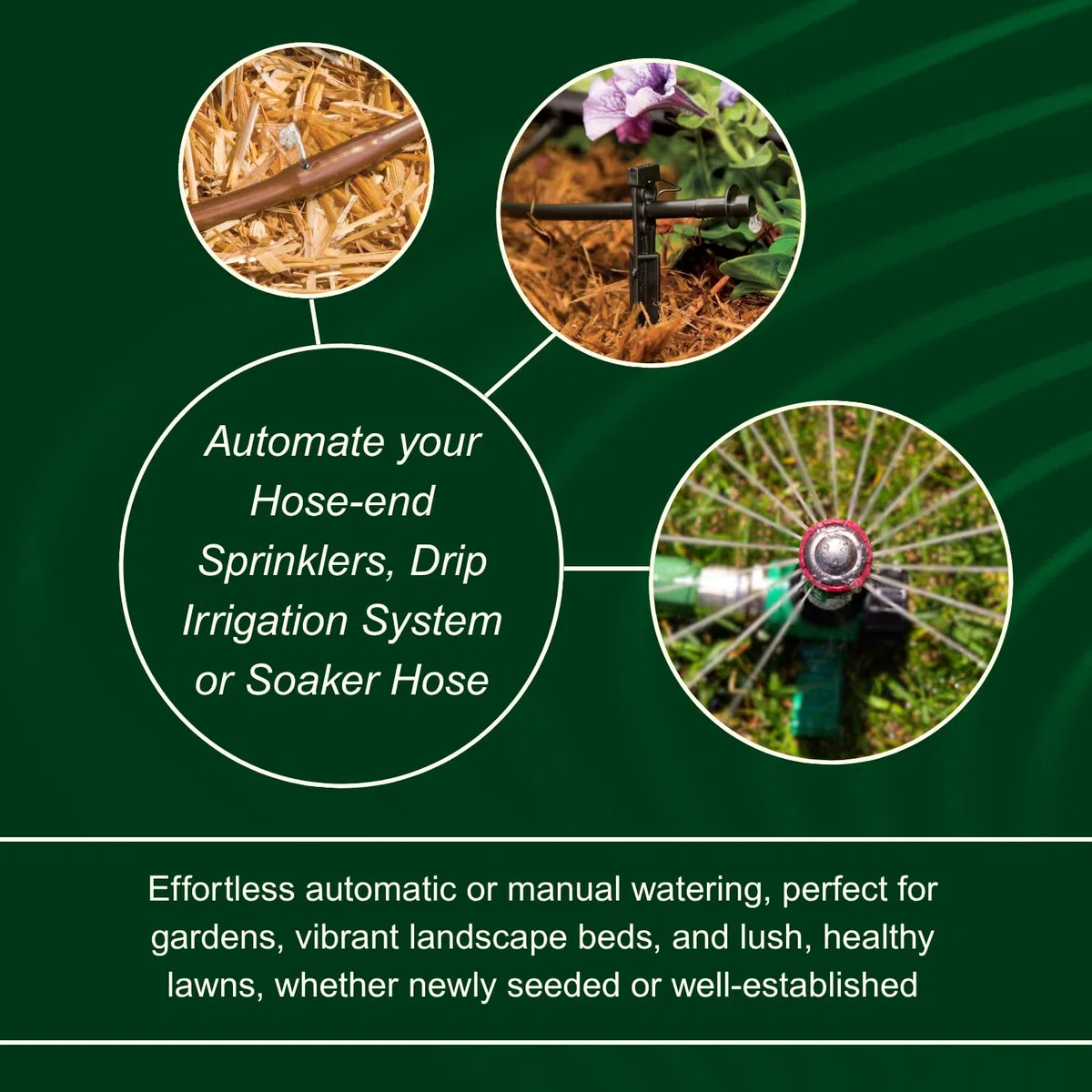 Rain Bird 1ZEHTMR Professional Grade Electronic Digital Hose End Timer/Controller, One Zone/Station, Battery Operated