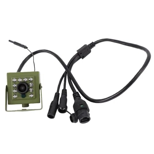 Caméra de Surveillance de la Faune, Caméra de sécurité Intérieure et Extérieure, Caméra de Vision Nocturne pour Nichoir, Caméra Grand Angle WiFi 2,4 GHz avec 10 LED, pour