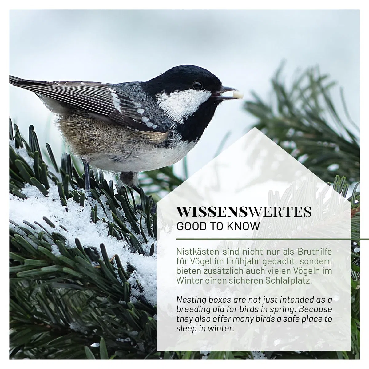 WILDLIFE HOME Nichoir mésanges avec toit en métal pour mésanges charbonnières, etc. I selon NABU en bois massif vissé I Résistant aux intempéries et non traité I Nichoir à suspendre