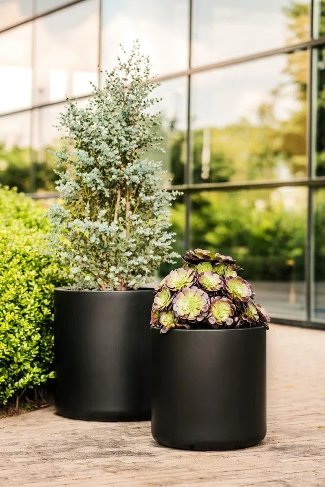 Elho Pure Cilinder Wheels 50 - Pot De Fleurs pour Intérieur & Extérieur - Plastique Recyclé - Ø 49.5 x H 50 cm - Noir