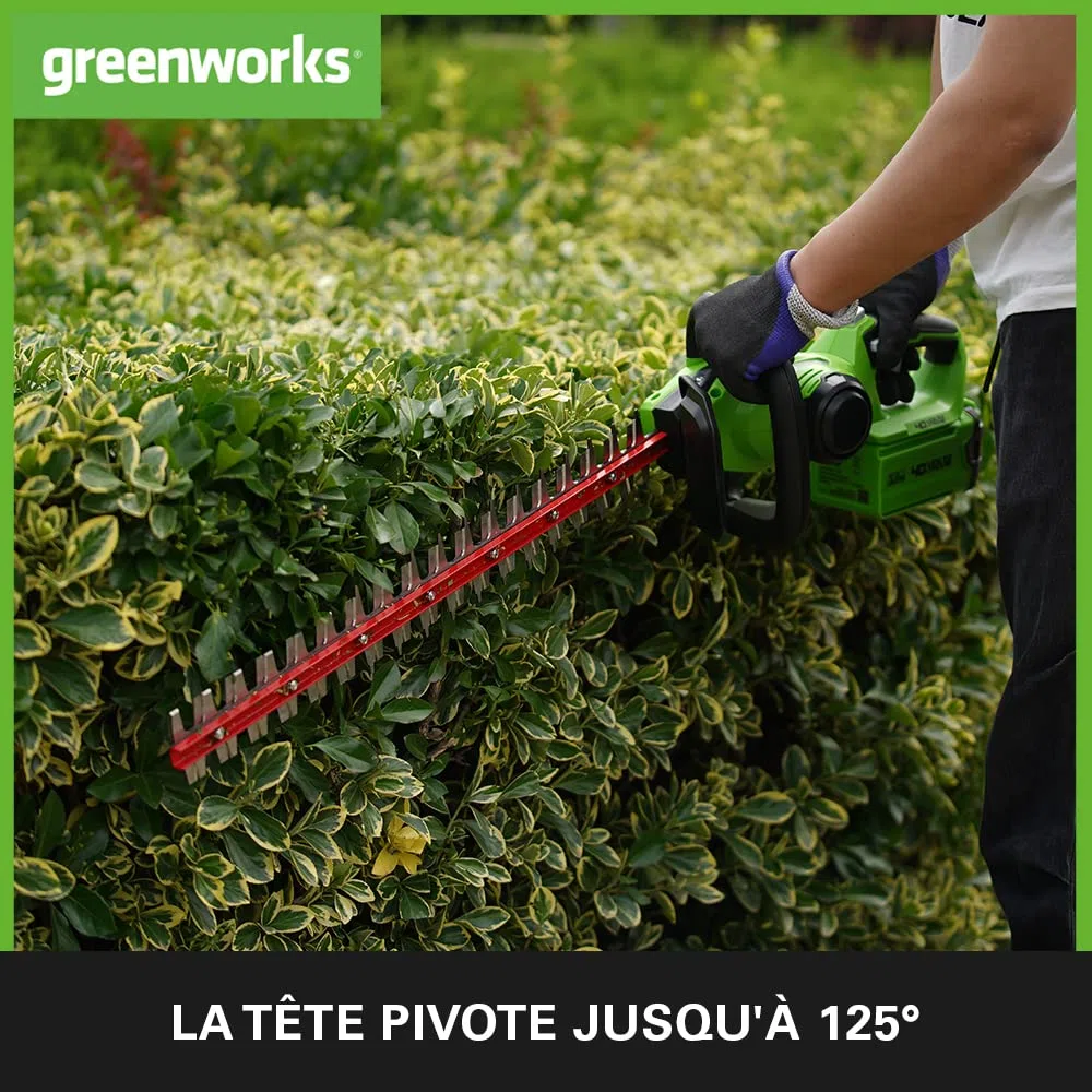 Greenworks G40HT61K2, Taille-Haie à Batterie, Lames Double Action 61 cm, Coupe jusqu'à 27 mm d'Épaisseur, 3000 tr/min, Batterie 40V 2Ah et Chargeur, Garantie 3 Ans