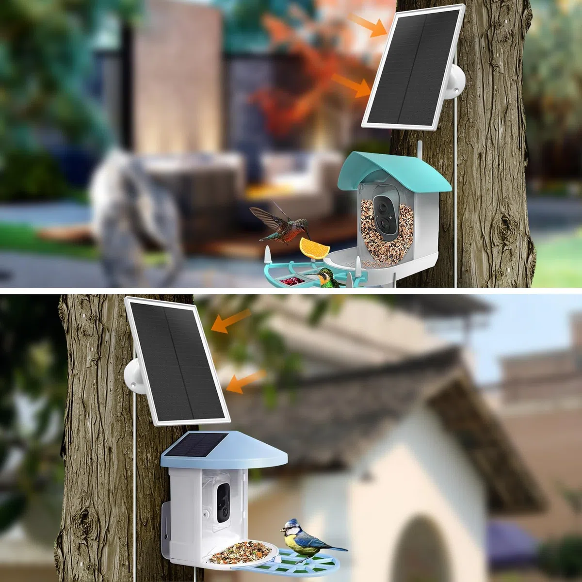 Chargeur de panneau solaire 6 W compatible avec appareil photo Netvue Bird Feeder, câble de 3 m de long, étanche