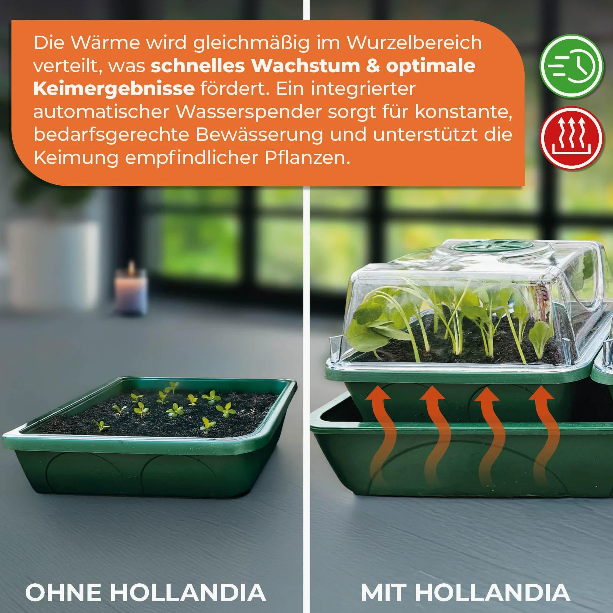 Bio Green HOL 3 Hollandia Serre D'intérieur Chauffée avec Réservoir d'eau