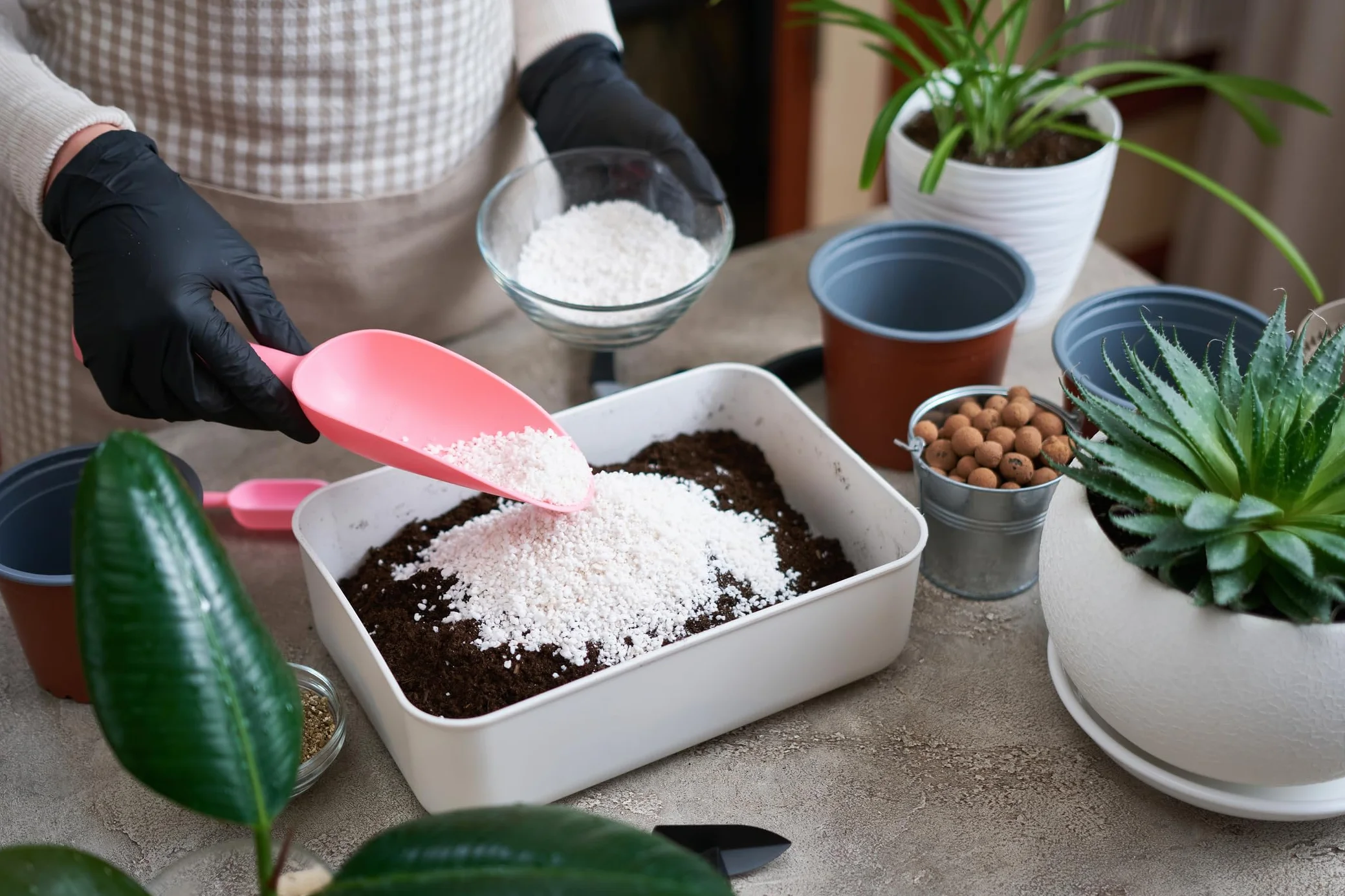Perlite pour Plante 30L