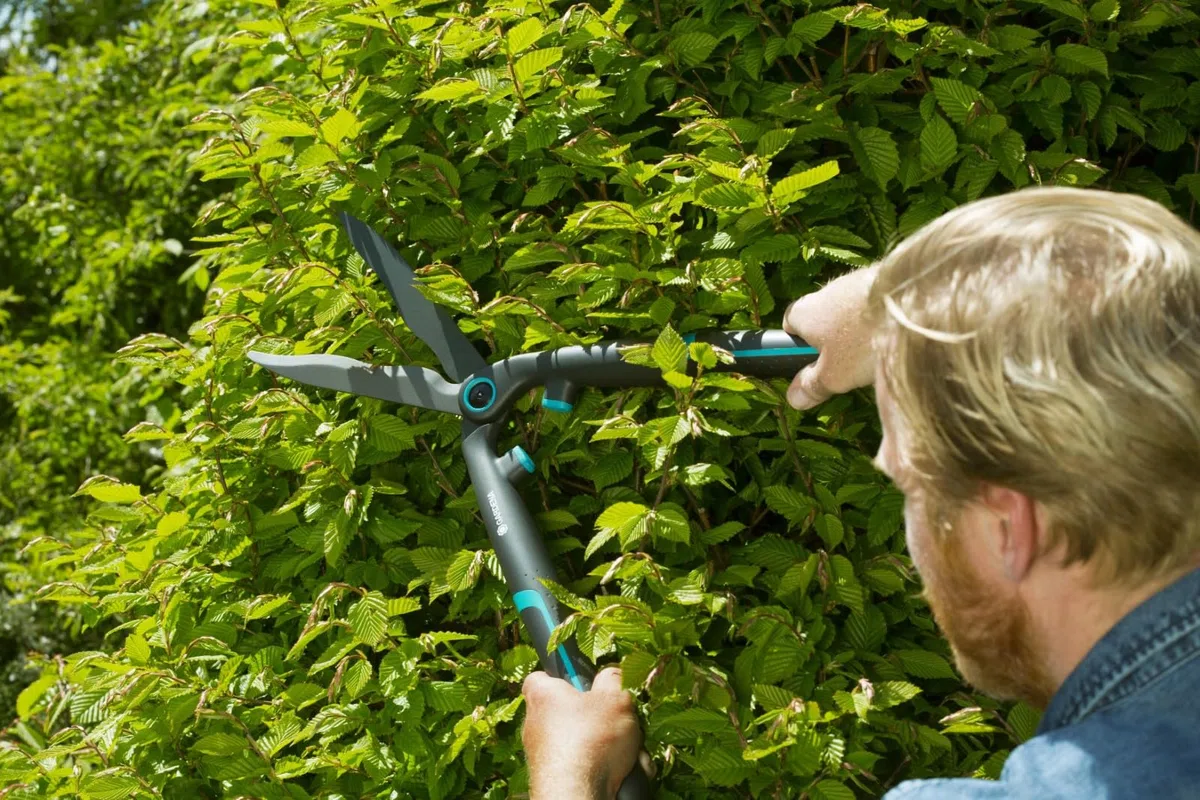 Gardena Taille-Haies EasyCut Ciseaux de Jardin légers pour la Coupe de Haies et de buissons, 20 cm, Lames avec revêtement Anti-adhérant, poignée en Plastique Ergonomique (12301-20)