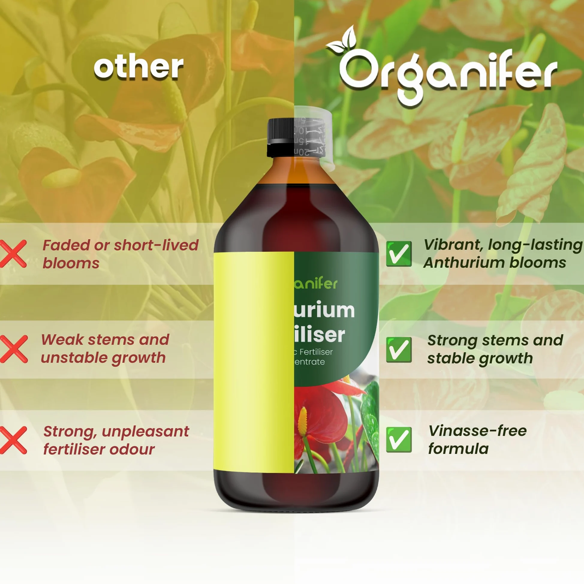 Anthurium Engrais liquide – Engrais liquide organique pour fleurs abondantes & racines solides – Favorise les tiges & vitalité – Organifer (1L)