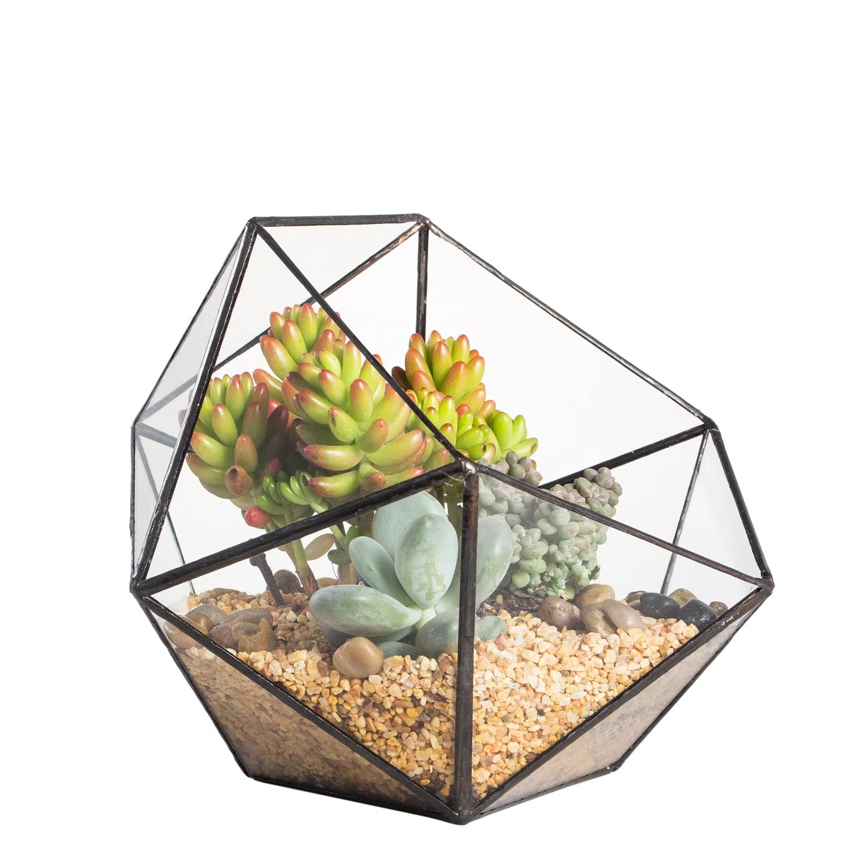 NCYP Géométrique Terrarium en Forme de Demi-sphère Triangulaire en Verre Fait à la Main, Pot de Fleurs pour bonsaï, Table Décoration pour Plantes Grasses (Pas de Plantes)