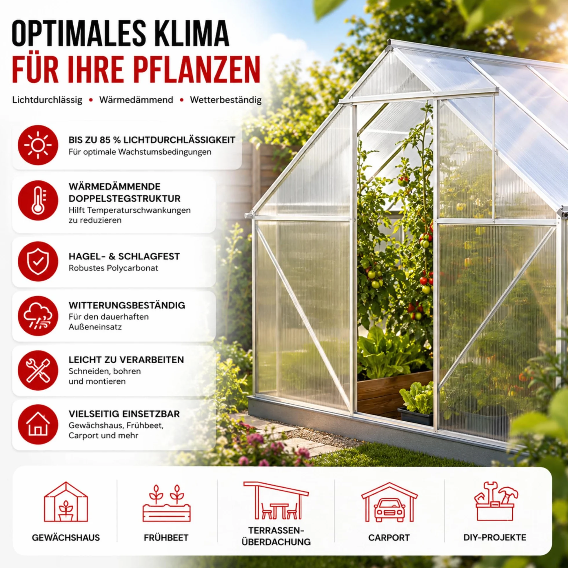 KARAT Plaques de serre à haute malléabilité, 60,5 x 121 cm, panneaux à chambre creuse, doubles panneaux en polycarbonate (épaisseur 6 mm, transparent)