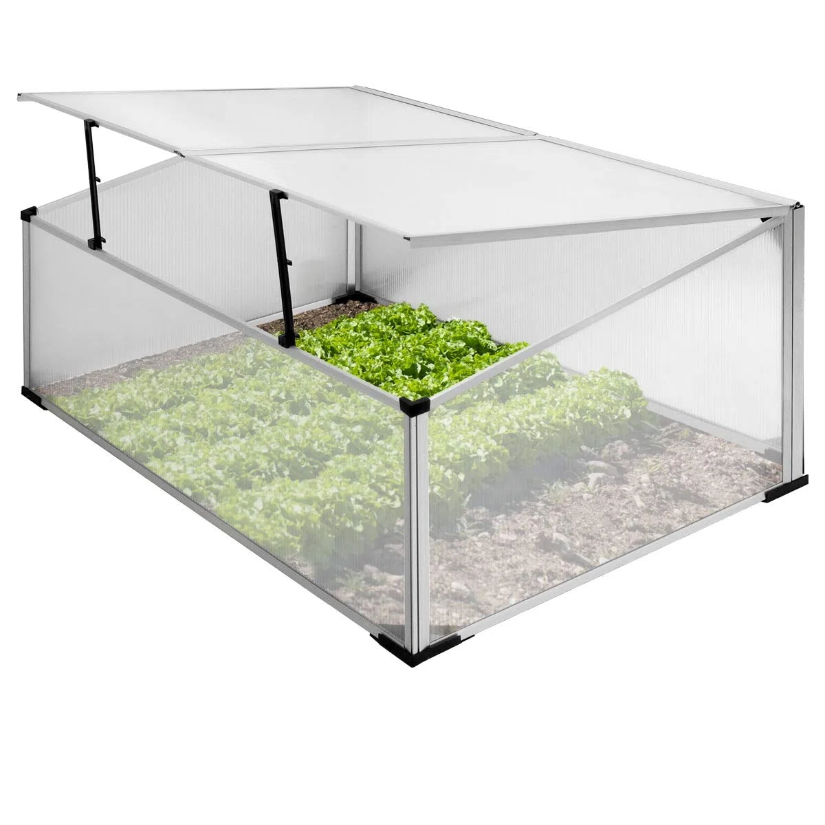 ECD Germany Mini Serre de Jardin sans Fond à 2 Trappes 100x60x40 cm en Polycarbonate Transparent Châssis de Couche en Aluminium Résistant aux Intempéries et UV pour Fleurs Légumes Fruits Plantes