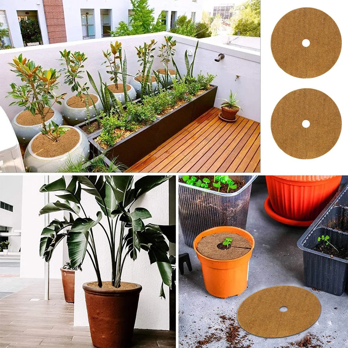 Lot de 10 tapis de paillage en fibre de coco de 20/30/40/50 cm de diamètre en forme d'anneau pour plantes et arbres en pot d'intérieur et d'extérieur.