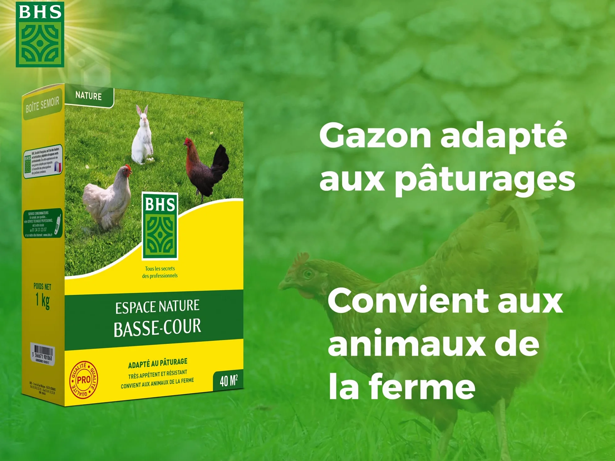 BHS Gazon Espace Nature Basse Cour 1kg 40 m² Riche en Protéine Implantation Rapide Et Homogène ENBC1