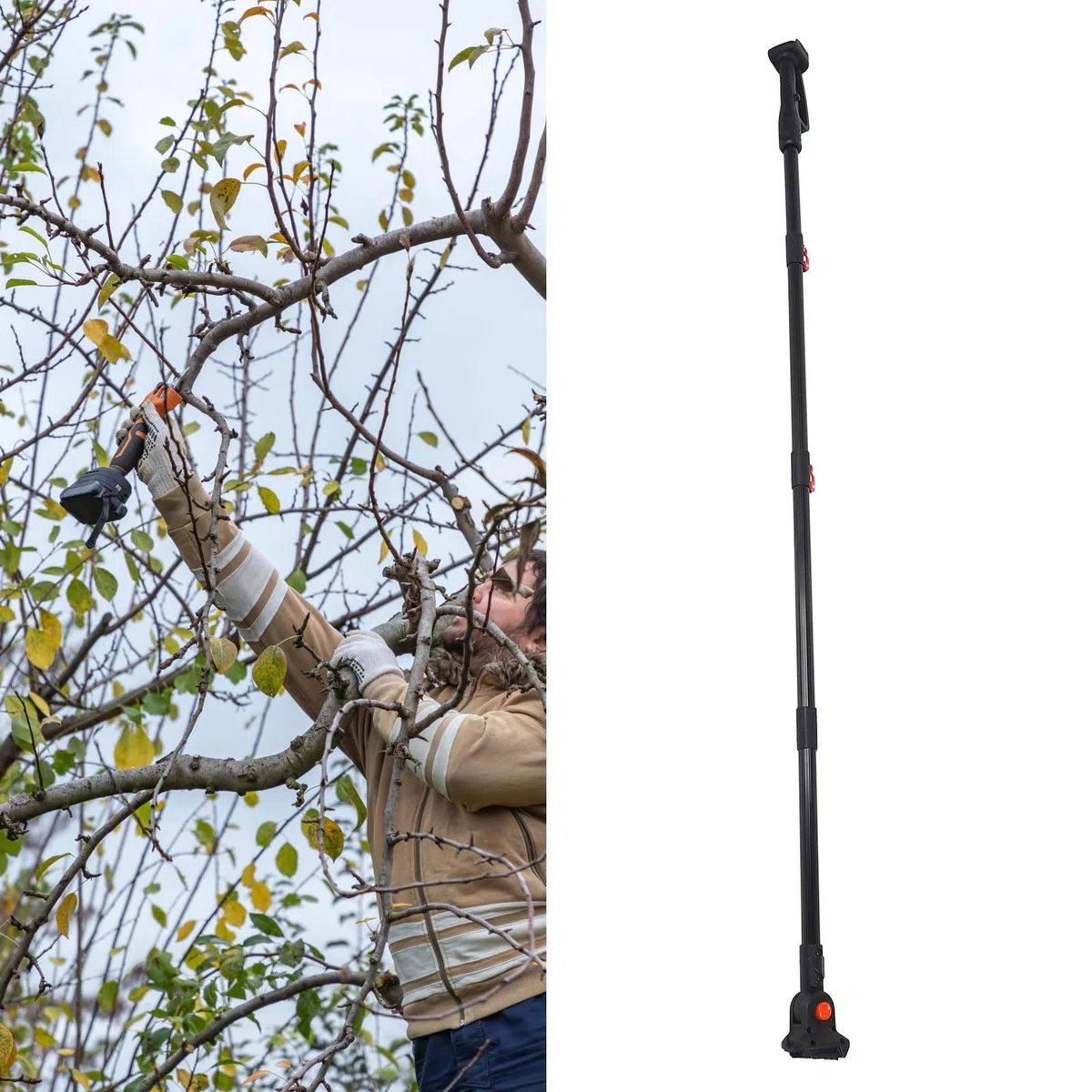 Perche télescopique pour sécateur sans fil, tronçonneuse et élagueur de hautes branches – Perche réglable en aluminium compatible avec les modèles BL1820, BL1830 et BL1840