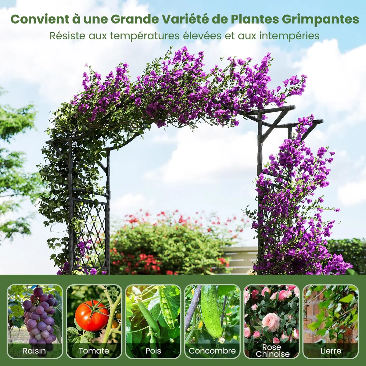 GOPLUS Arche de Jardin 210 CM avec Treillis, Arceau Porte de Jardin Rosiers Exterieur en Métal pour Plantes Grimpantes,Plantes Vignes, Décoration de Fête Mariage (Noir,170 x 39 x 210 cm)