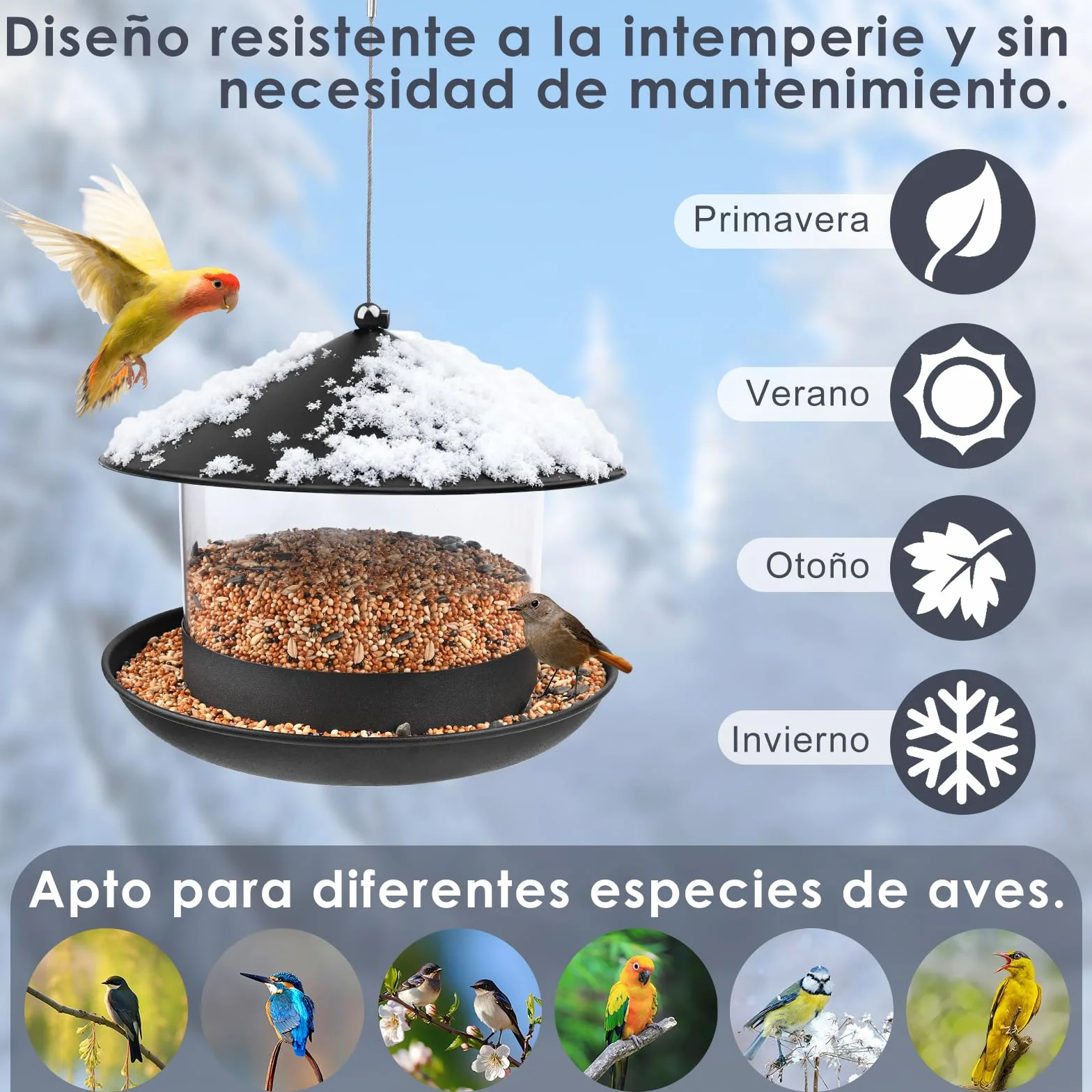 Mangeoire Oiseaux Extérieur à Suspendre Métal, Empêche Accumulation Eau, Facile Observer Moineaux Rouges-Gorges