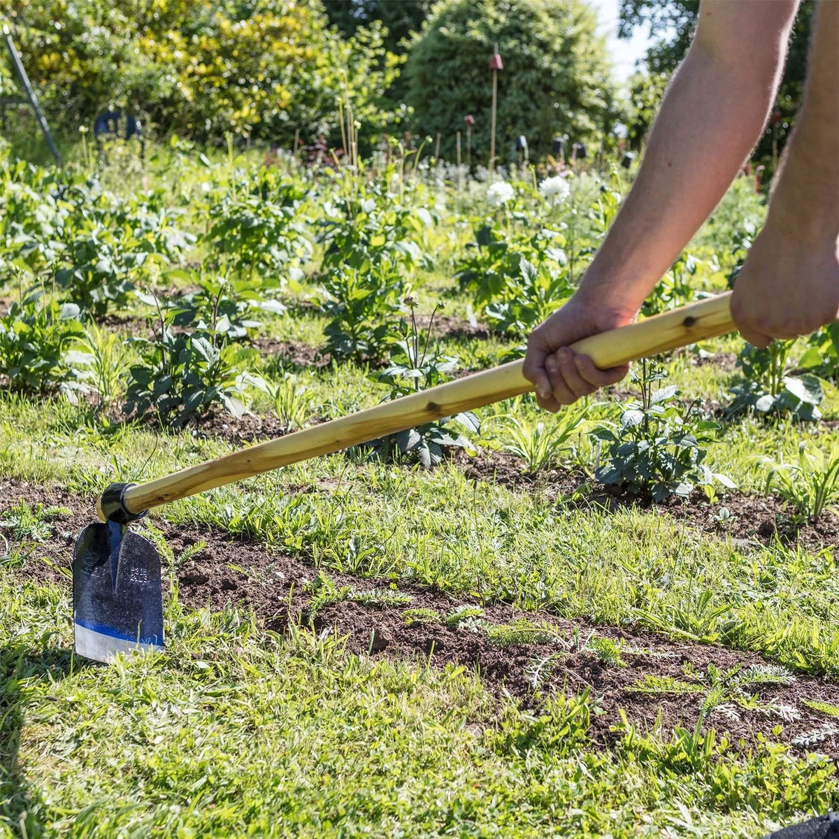 Harbour Housewares Houe à creuser Azada avec manche en bois - 110 cm - Houe de jardin pleine grandeur, outils de jardinage pour le jardinage, creuser le sol, le désherbage, l'aménagement | Acier forgé, manche bois, 110 cm, lame affûtée, équilibrée, travau