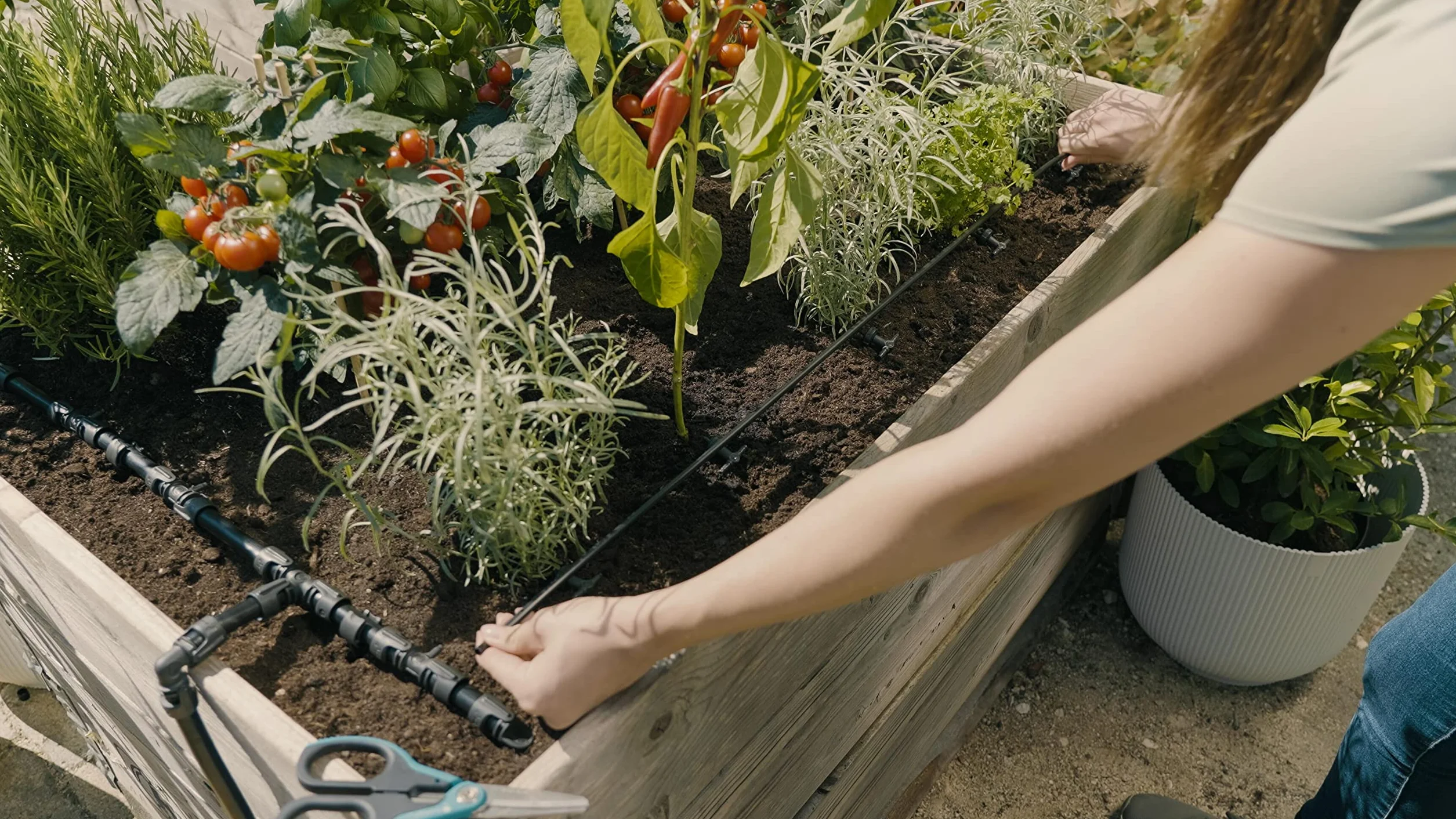 Gardena Start Set for Raised Beds/Beds (35 Plants)