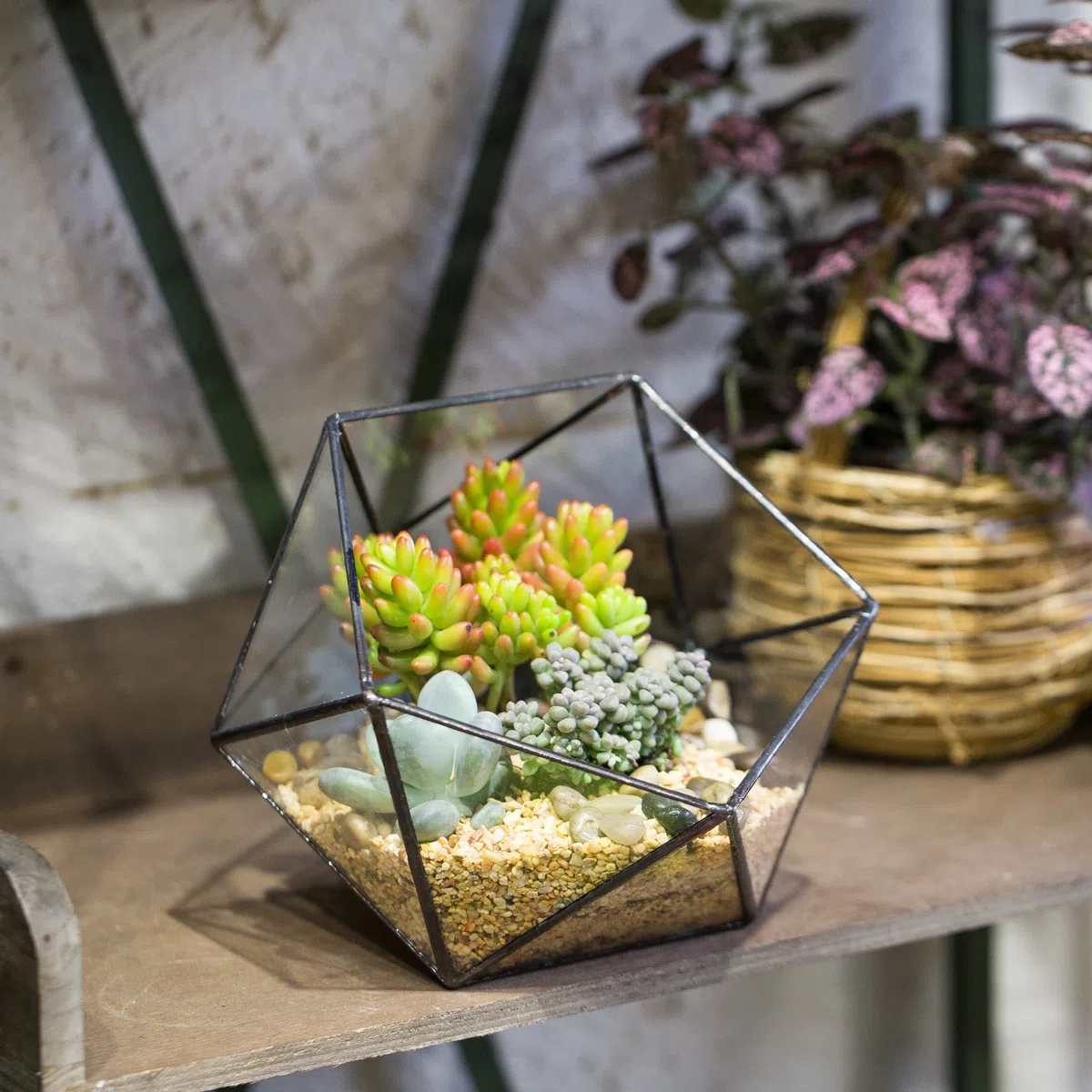 NCYP Géométrique Terrarium en Forme de Demi-sphère Triangulaire en Verre Fait à la Main, Pot de Fleurs pour bonsaï, Table Décoration pour Plantes Grasses (Pas de Plantes)