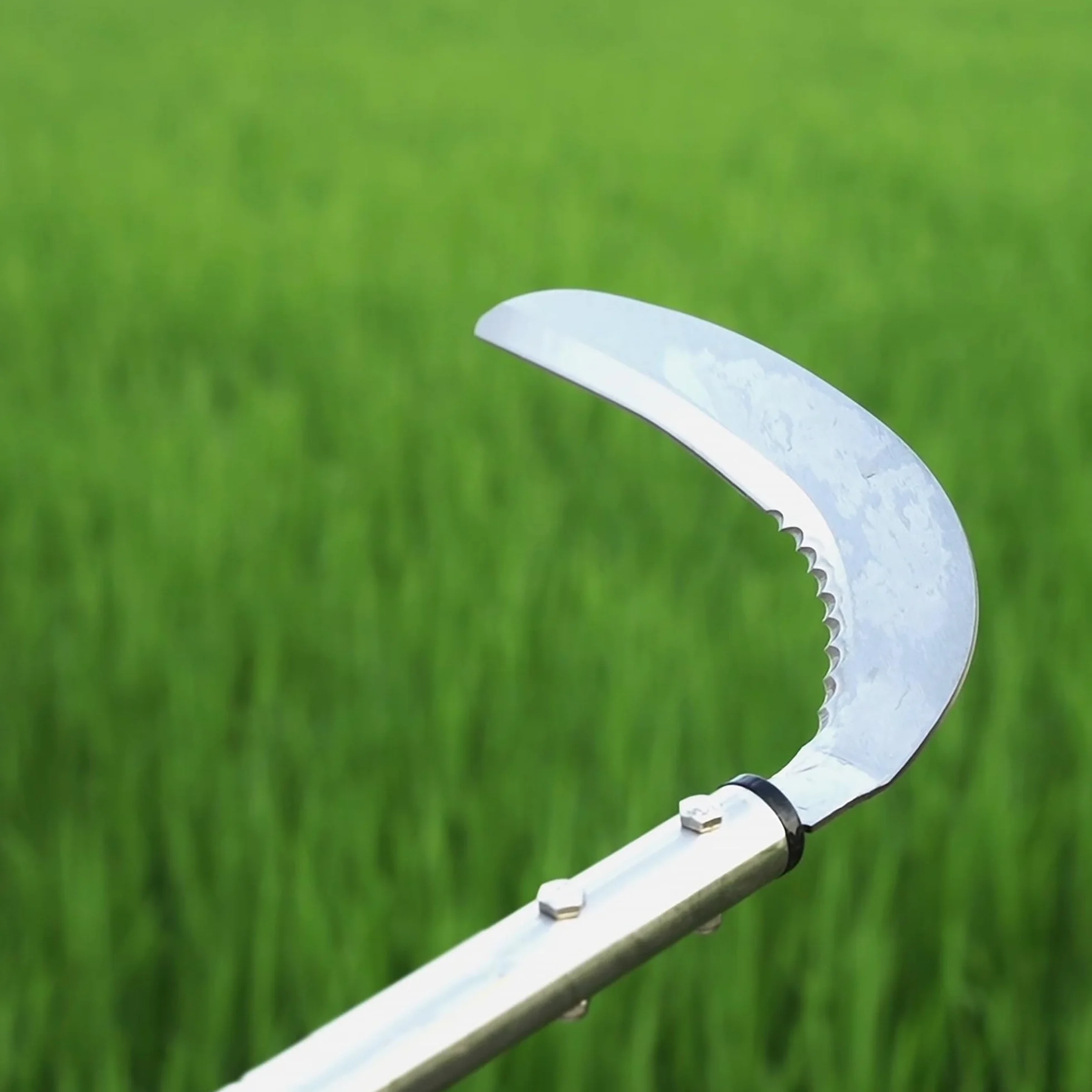 YEELOR Faucille de désherbage, Faucille d'herbe en Acier avec Lame dentelée à Double Tranchant, Fouet à Gazon télescopique, Faucille d'herbe Debout, Outil de Jardin léger à Long Manche pour Jardin
