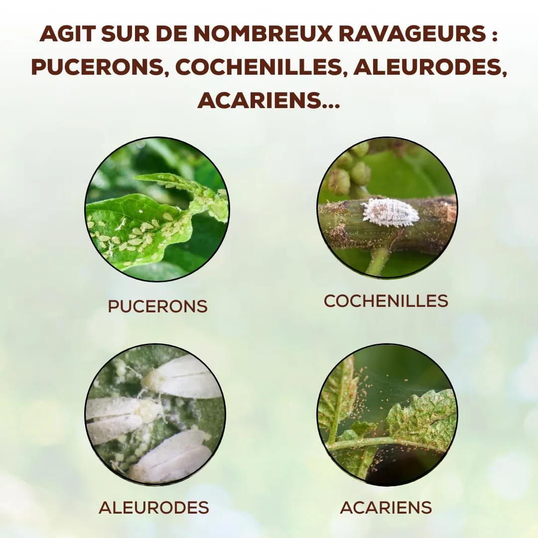 Anti Insectes - Action Choc - Traitement Concentré - 2x 250ml - Acariens Pucerons Ravageurs - NEUPINSPOLY250X2