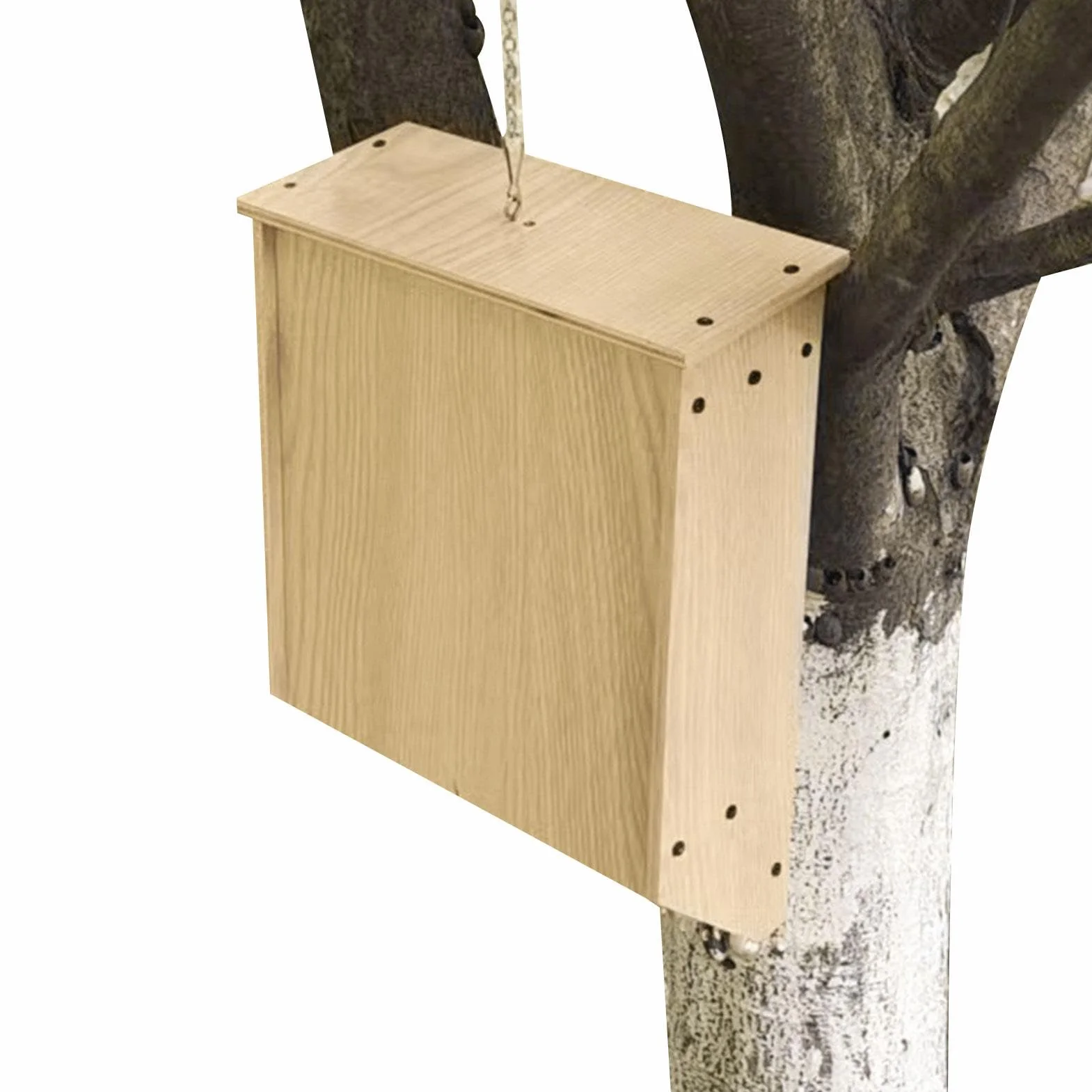 Grand nichoir pour chauve-souris extérieur, abri vissé non traité été hiver