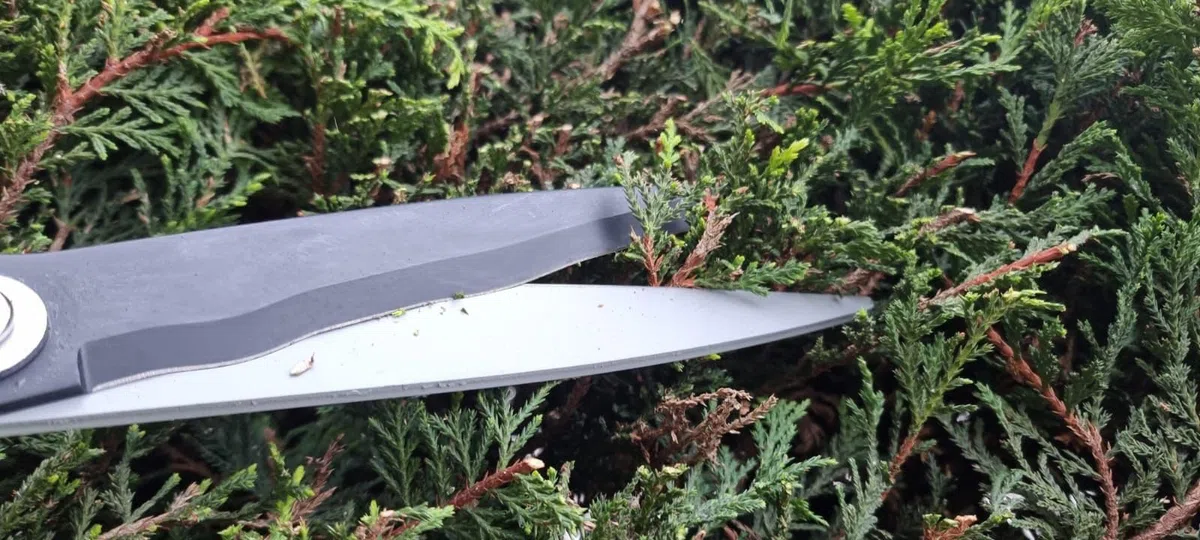 Cisailles de jardin Kimura Pro, cisailles à haies de qualité supérieure avec poignées en aluminium léger, lames japonaises tranchantes SK5, technologie brevetée, acier antirouille - 560 mm